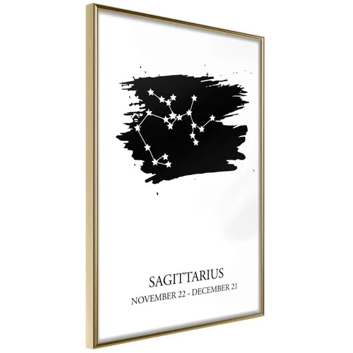  Poster - Zodiac: Sagittarius I 20x30