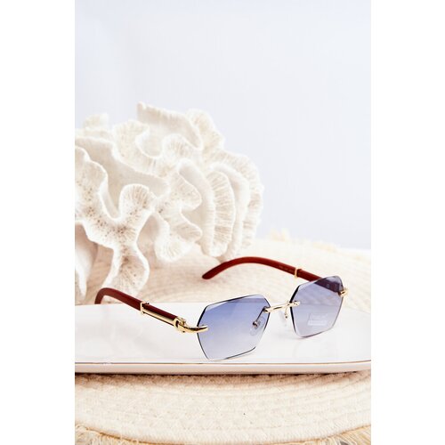 PRIUS Women's UV400 Brown Sunglasses Cijene