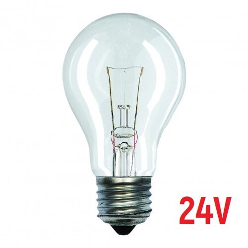 Mitea Lighting E27 24V 100W A55 sijalica Slike