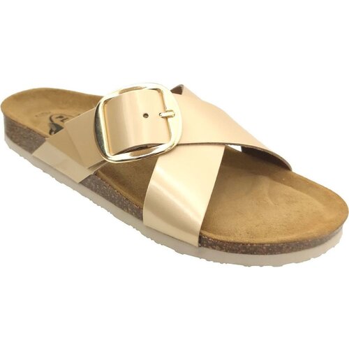 Plakton Bramma Gold Slike