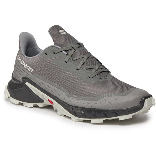 Salomon Alphacross 5 Gtx sarena Cene