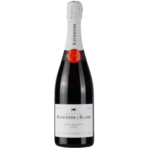 Raventos i Blanc Raventos Blanc de Blancs Cene