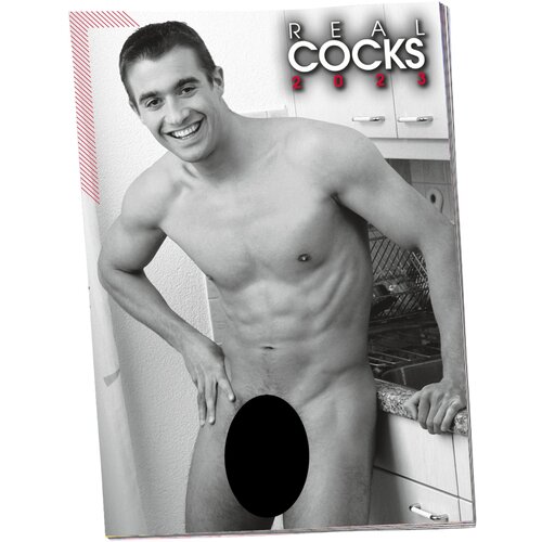 Orion muški kalendar - 2024. (1kom) Cijene