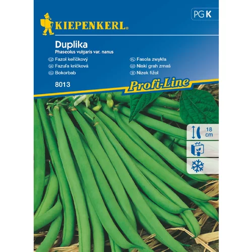 KIEPENKERL Nizek fižol Duplika Kiepenkerl (Phaseolus vulgaris var. nanus)