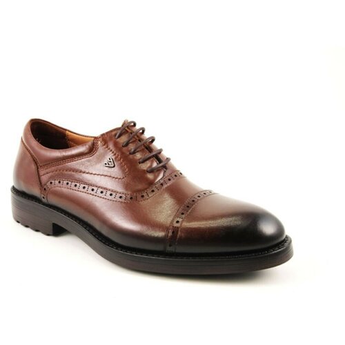 Forelli Business Shoes - Brown - Flat Cene