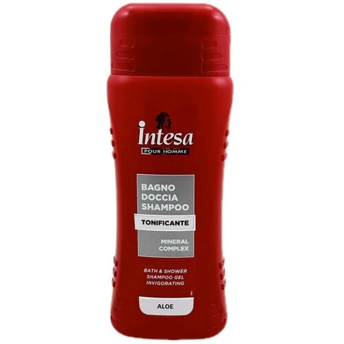 Intesa muška kupka i šampon 2u1 aloe 500 ml Cene