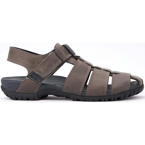 Mephisto Basile Siva Slike