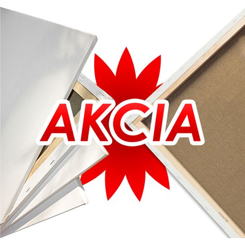  Slikarsko platno PROFI ARTMIE na ramu | različite dimenzije Slike