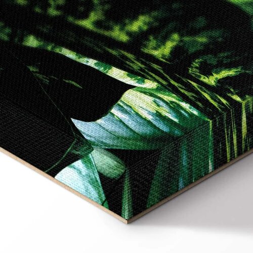  Slika - Dieffenbachia (1 Part) Vertical 40x60 Slike
