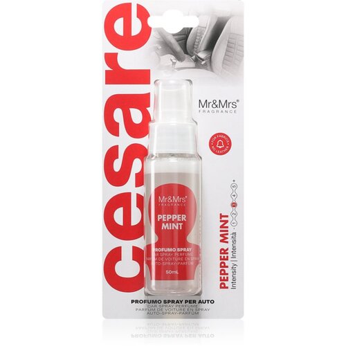 Mr & Mrs Fragrance Cesare Peppermint osvežilec zraka za v avto 50 ml Cene