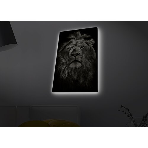 Opviq slika na platnu sa LED osvetljenjem 45x70cm Cene