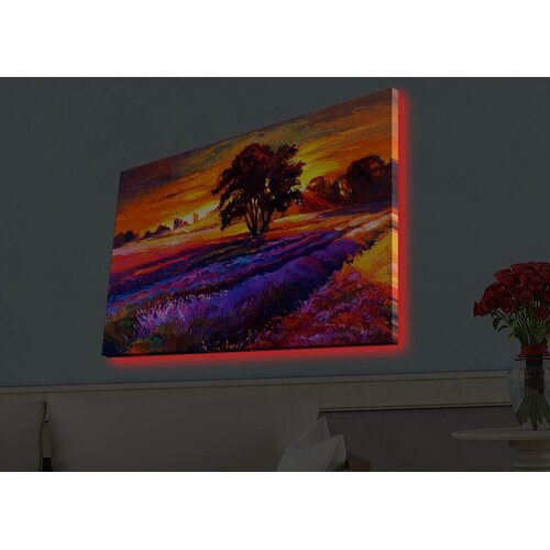 Wallity Zidna slika sa LED osvetljenjem 4570HDACT-038, 45x70 cm Cene