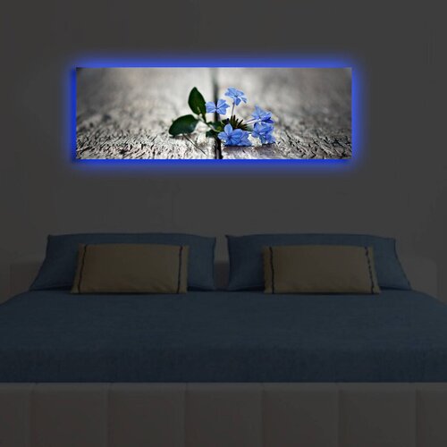 Wallity Slika sa LED osvetljenjem 3090DACT-49, 30x90 cm Cene