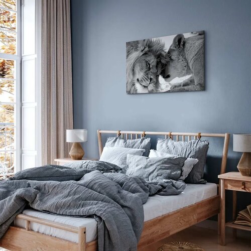  Slika - Lion\&amp;#039;s Love 30x20 Premium Print Slike