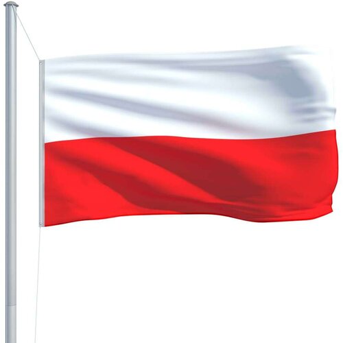 VidaXL Poljska zastava 90 x 150 cm Slike