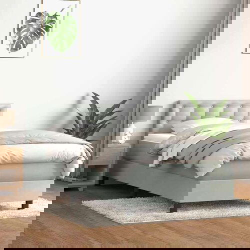 Box spring postelja z vzmetnico svetlo siva 80x220 cm žamet, (21791897) Slike