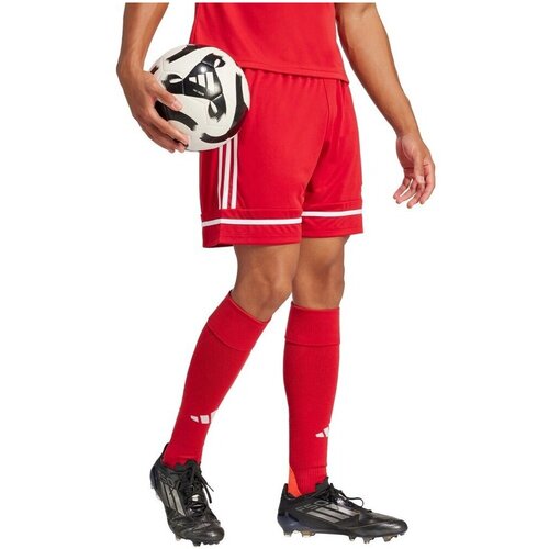 Adidas Kratke hlače &amp;amp; Bermuda Squa25 Sho M Rdeča Slike