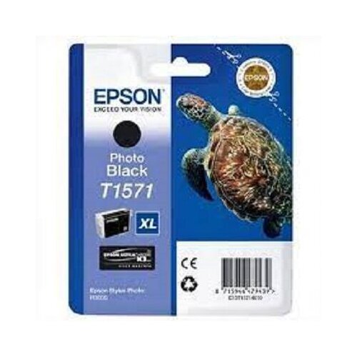 Epson C13T15714010 (T1571) Photo Black Ink Cene