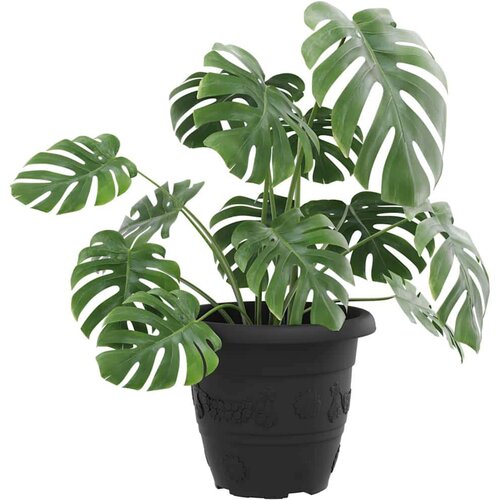  Okrugla saksija za cveće 6 pcs Crna &amp;Oslash; 26 x 21.5 cm Plastika - Crna &amp;Oslash; 22 x 18 cm 6 Slike