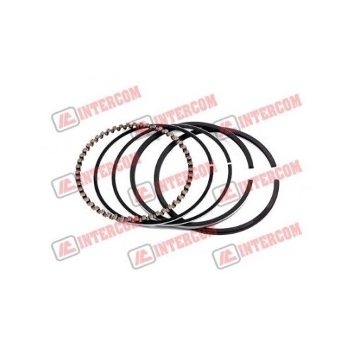  Guini parts Karike aspera tecumseh geo55 71 mm standard ( 12377 ) Cene
