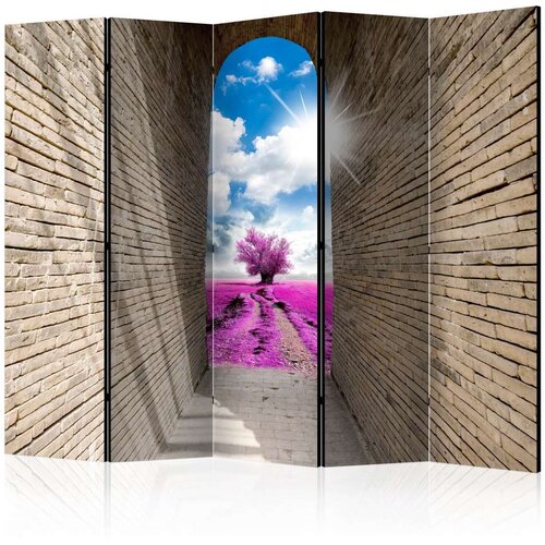  Paravan u 5 dijelova - Magical Passage II [Room Dividers] 225x172 Slike
