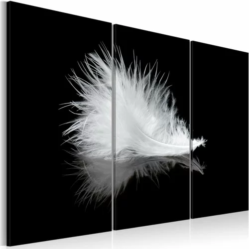  Slika - A small feather 60x40