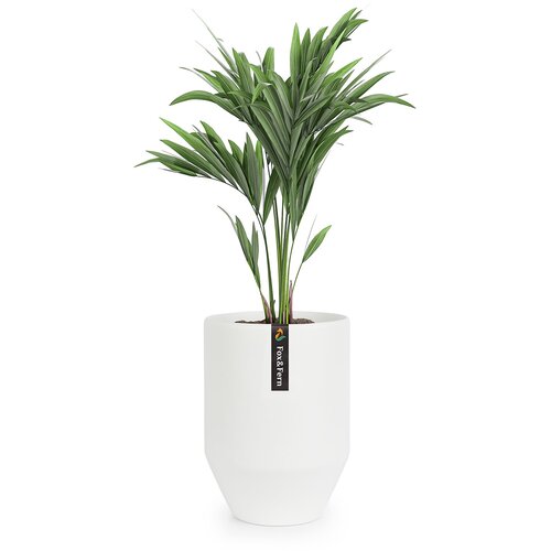 Fox & Fern almere lonac Polystone Idealan za biljke, ručni rad, okrugli Cene