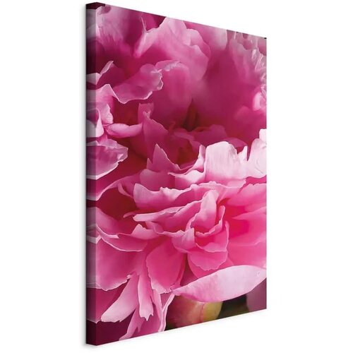  Slika - Blossom of Beauty (1-part) - Pink Peony Flower Embraced by Nature 40x60 Cene