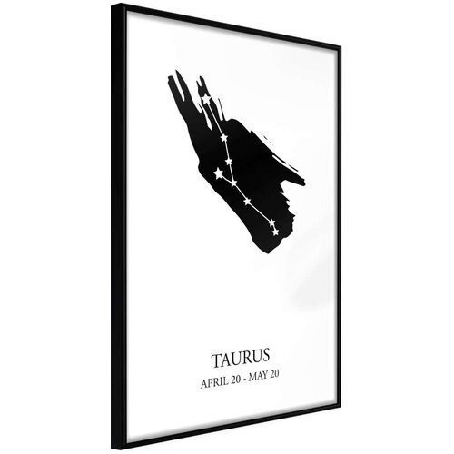  Poster - Zodiac: Taurus I 20x30 Cijene