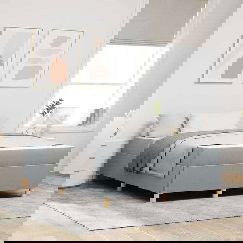  Krevet s opruga kutije Svijetlo siva i bijela i svijetlo siva Cene