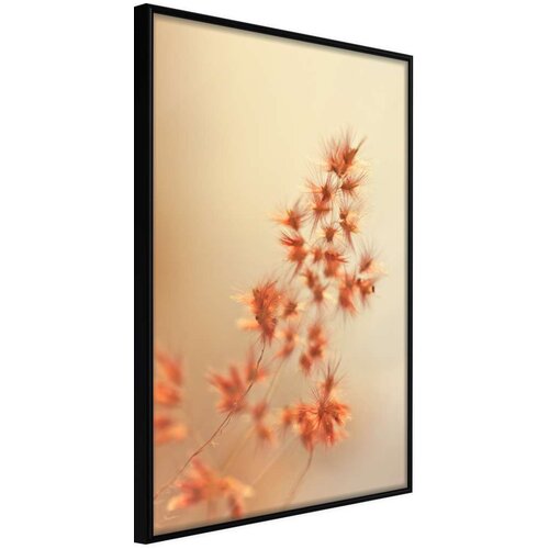  Poster - Midday Heat 20x30 Cijene