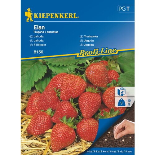 KIEPENKERL Sjeme voća jagoda Elan (Berba: Lipanj - Listopad) Cijene