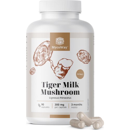 Tiger Milk Mushroom 300 mg - 90 kaps. Slike