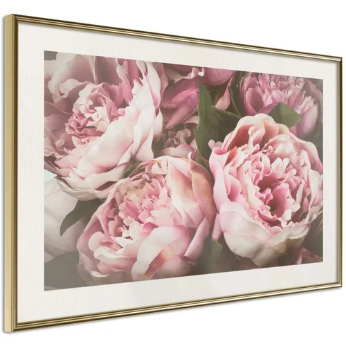  Poster - Pastel Peonies 90x60