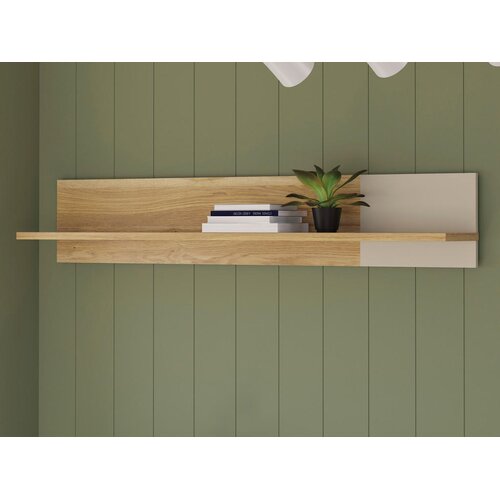 Hom`in STENSKI PANEL Slike
