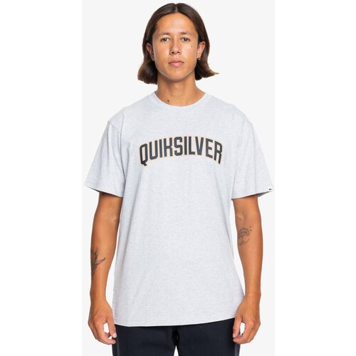 Roxy Men's T-shirt QuikSilver Scholarship Cene