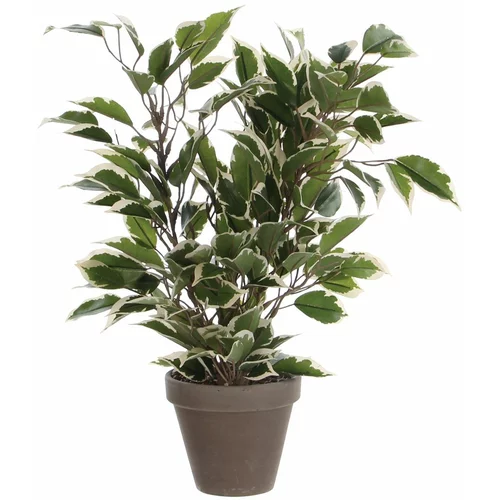 MICA Umjetna biljka (Visina: 30 cm, Zelene boje, Plastika)