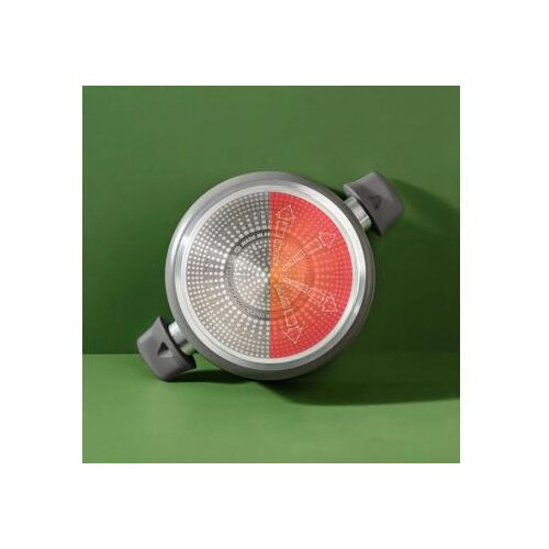 Tefal &amp;scaron;erpa sa poklopcem 24cm C4264673 renew Slike