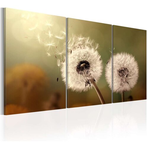  Slika - Whisper of Summer 120x60 Slike