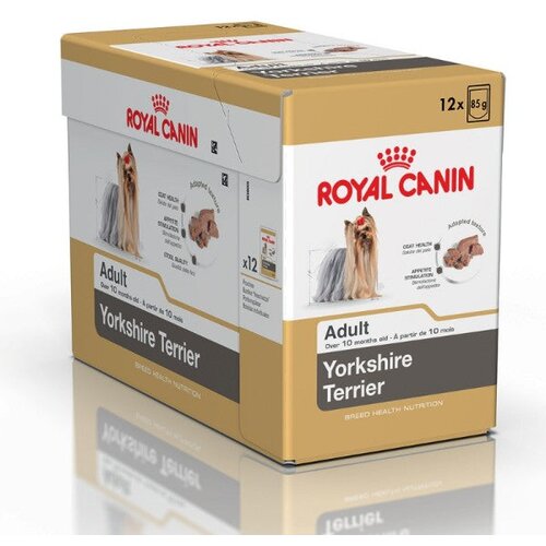 Royal Canin Yorkshire Terrier mokra hrana 12 x 85 g Cene