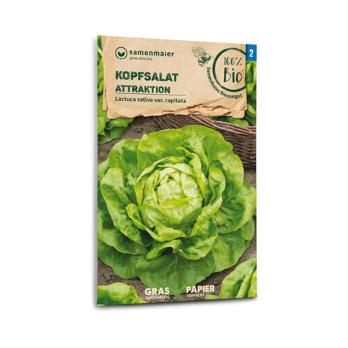 Samen Maier Bio glavnata solata "Attraktion" Cene