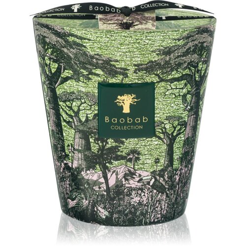 Baobab Collection Sacred Trees Touba mirisna svijeća 1100 g Slike
