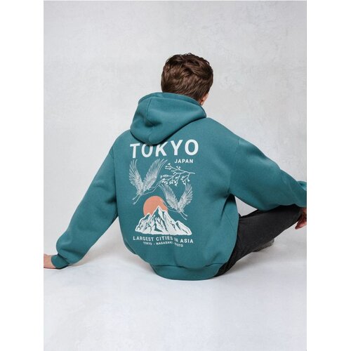 Sinsay Hoodie s tiskom Cijene