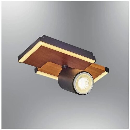 Opviq luster 1419-1, LED 10 W, hrast Cene