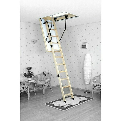 MEISTERHOLZ Tavanske stepenice Extra (D x Š: 110 x 70 cm, Toplinska izolacija: 0,85 W/m²k) Cijene