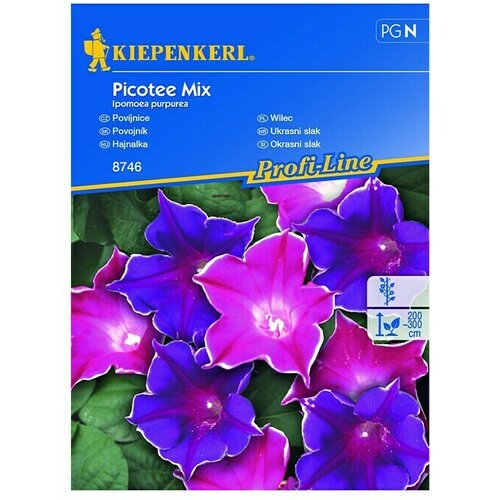 KIEPENKERL Sjeme cvijeća Ukrasni slak Picotee Mix (Ipomoea purpurea, Raznobojno) Cijene