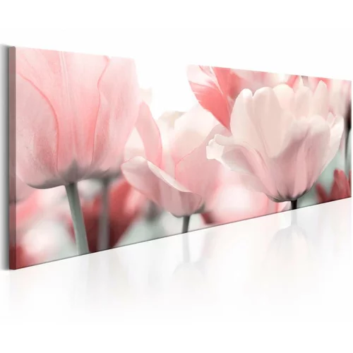  Slika - Pink Tulips 135x45
