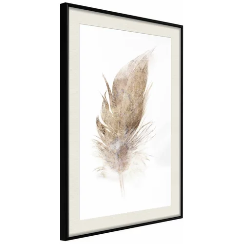  Poster - Lost Feather (Beige) 40x60