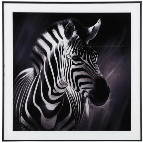 PT LIVING Slika 50x50 cm Zebra –