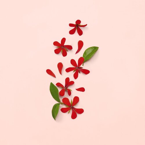 Gucci Bloom 30ml, ženska parfumska voda Slike